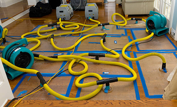 Professional Structural Drying And Dehumidification technician working in Bertram, TX
